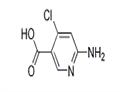 6-AMino-4-chloro-nicotinic acid pictures