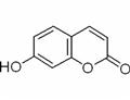 7-Hydroxycoumarin 