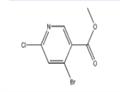 Methyl 4-broMo-6-chloronicotinate pictures