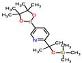 trimethyl-[2-[5-(4,4,5,5-tetramethyl-1,3,2-dioxaborolan-2-yl)pyridin-2-yl]propan-2-yloxy]silane pictures