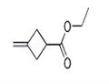 Cyclobutanecarboxylic acid, 3-methylene-, ethyl ester (9CI) pictures