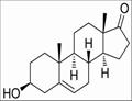 Dehydroepiandrosterone