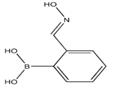 (E)-(2-((hydroxyiMino)Methyl)phenyl)boronic acid pictures