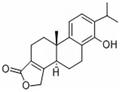 Triptophenolide pictures