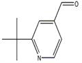 2-tert-butylisonicotinaldehyde pictures