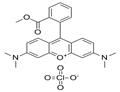 Tetramethylrhodamine methyl ester perchlorate pictures