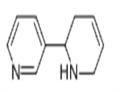 (R,S)-ANATABINE pictures