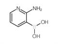 (2-Aminopyridin-3-yl)boronic acid pictures
