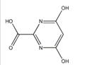 4,6-DihydroxypyriMidine-2-carboxylic Acid