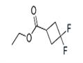 Cyclobutanecarboxylic acid, 3,3-difluoro-, ethyl ester (9CI)