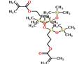 3-[[3-(2-methylprop-2-enoyloxy)propyl-bis(trimethylsilyloxy)silyl]oxy-bis(trimethylsilyloxy)silyl]propyl 2-methylprop-2-enoate