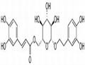 Calceolarioside B