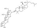 Notoginsenoside Ft1  