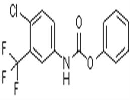 Carbamic acid,N-[4-chloro-3-(teifluoromethyl)phenyl]-,phenyl ester