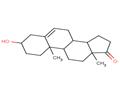 Dehydroepiandrosterone