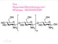 Chitosan Powder CAS NO.9012-76-4