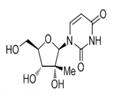 31448-54-1 2'-C-Methyluridine