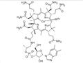 VITAMIN B12 Vitamin kf-wang(at)kf-chem.com