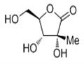 2-C-Methyl-D-ribono-1,4-lactone