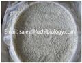 Calcium Hypochlorite