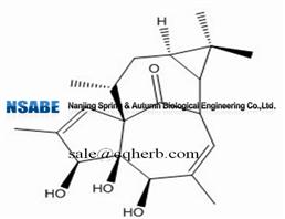 20-deoxyingenol 54706-99-9