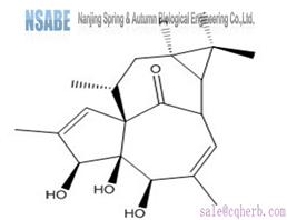 20-deoxyingenol 54706-99-9