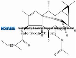 Ingenol-3-O-angelate 75567-37-2