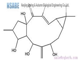 7β-Hydroxylathyrol 34208-98-5