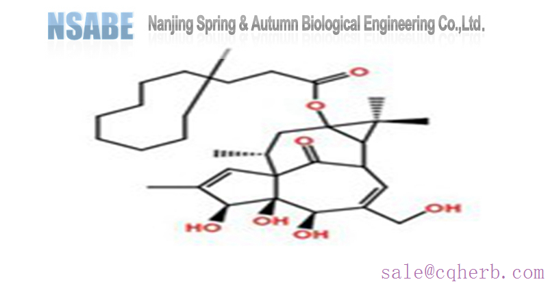 Dodecanoic acid ingenol ester 54706-70-6