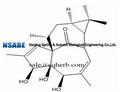 20-deoxyingenol 54706-99-9