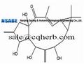 7β-Hydroxylathyrol 34208-98-5