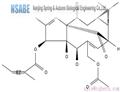 20-O-Acetylingenol-3-angelate 82425-35-2 pictures