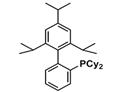 2-(Dicyclohexylphosphino)-2',4',6'-tri-i-propyl-1,1'-biphenyl (X-phos)