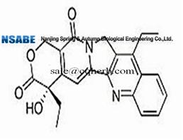 7-Ethylcamptothecin 78287-27-1