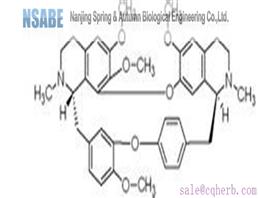 Tetrandrine 518-34-3