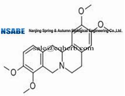 Tetrahydropalmatine 10097-84-4