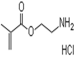 2-Aminoethyl methacrylate hydrochloride 2420-94-2