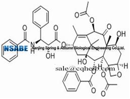 Paclitaxel 33069-62-4