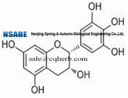 professional supplier Epigallocatechin 970-74-1