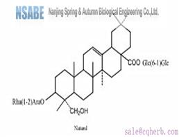 Dipsacoside B 33289-85-9