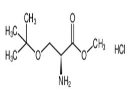 H-Ser(tBu)-OMeHCl