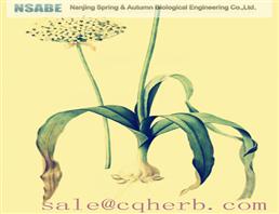 Allicin 539-86-6