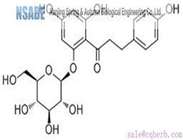 Phlorizin 60-81-1