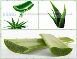 Aloe-emodin 481-72-1