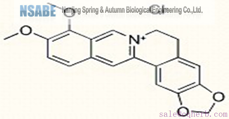 Berberine hydrochloride 633-65-8 