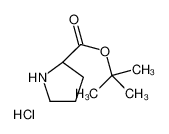 D-Pro-Otbu.Hcl