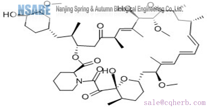 rapamycin 53123-88-9