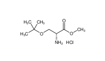 H-D-Ser(tBu)-OMe.HCl