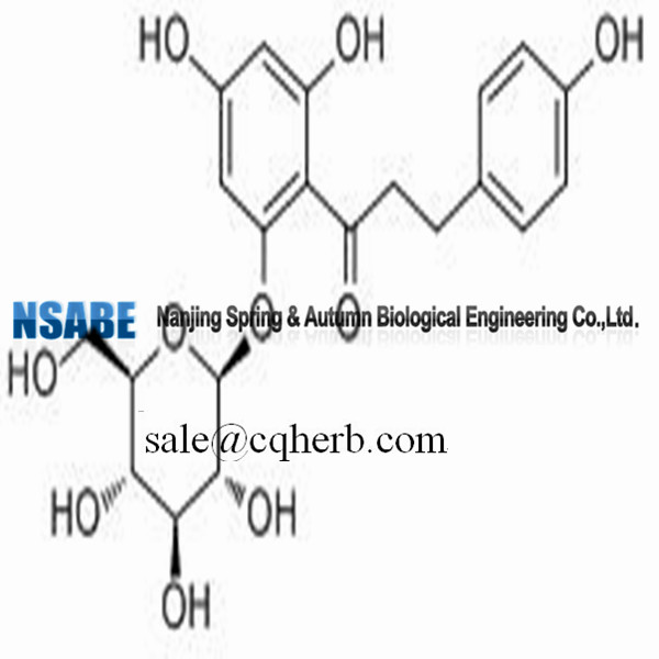 Phlorizin 60-81-1