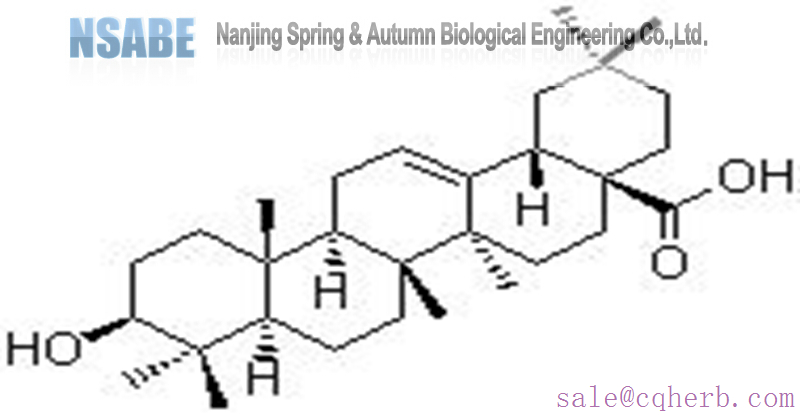 Oleanolic acid 508-02-1